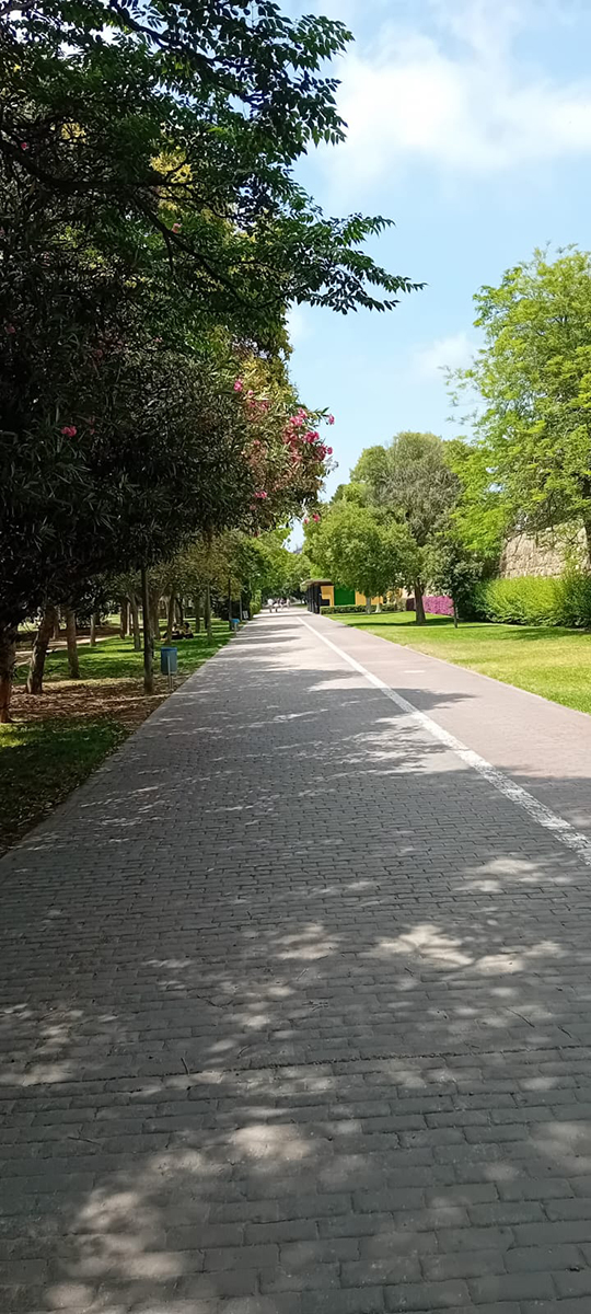 PCTO 19